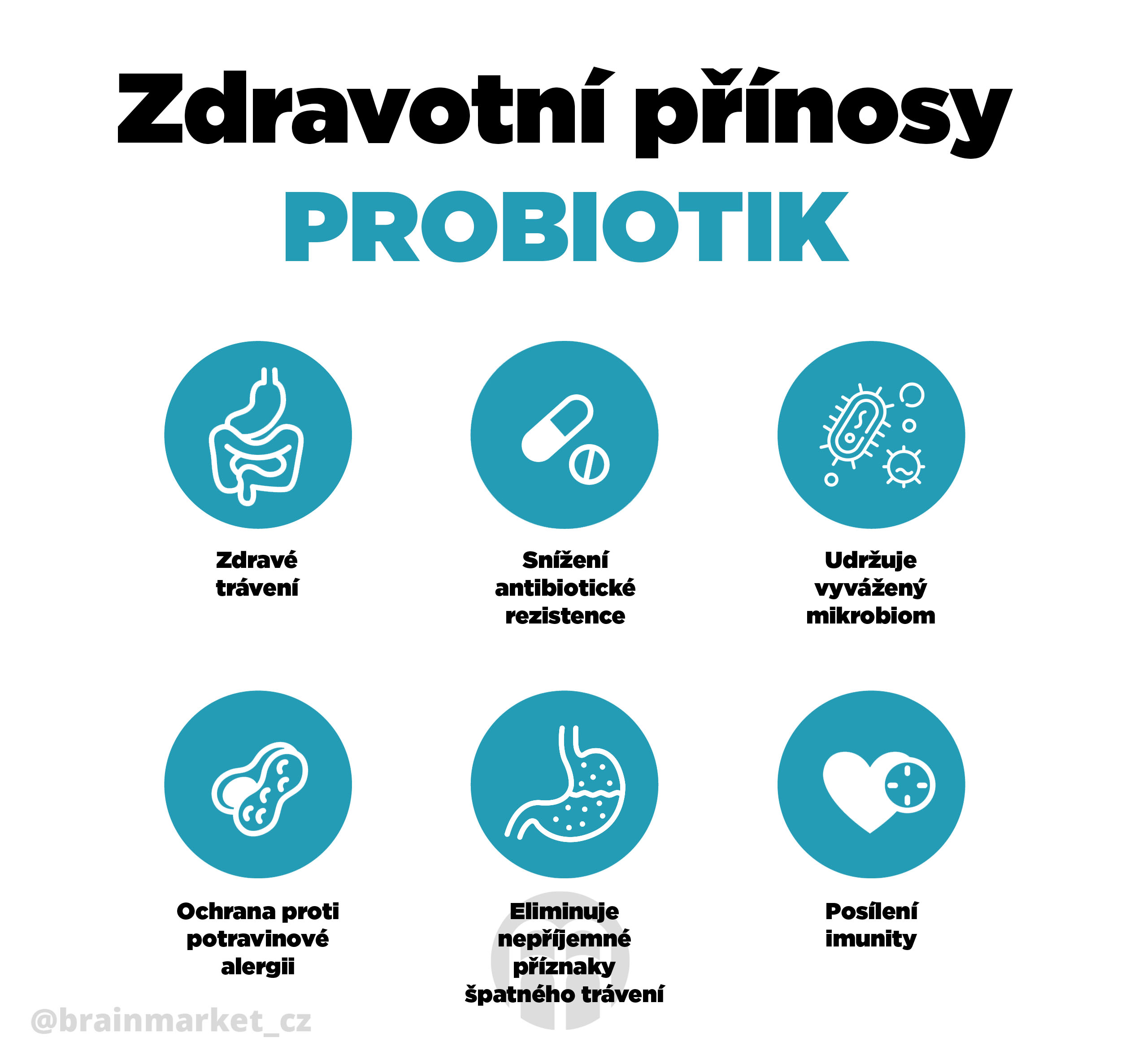 zdravotni prinosy probiotik infografika brainmarket CZ